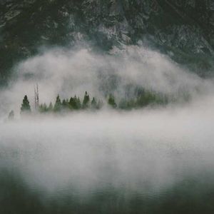 Meet your Posher, Vincent